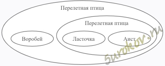 птица, воробей, перелётная птица, ласточка, аист