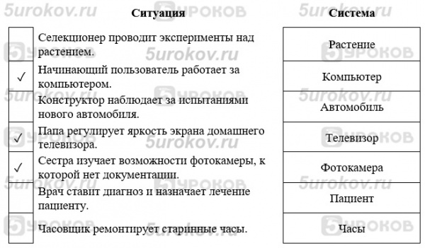 В каждой системе протекают некоторые внутренние процессы