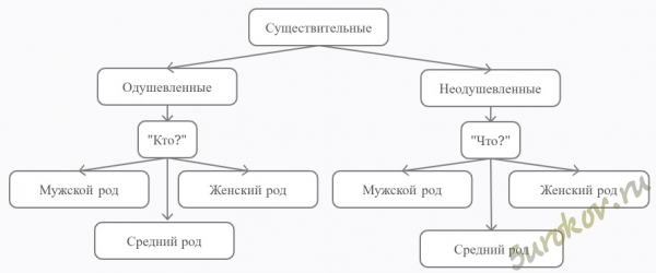 Существительные бывают одушевлённые и неодушевлённые